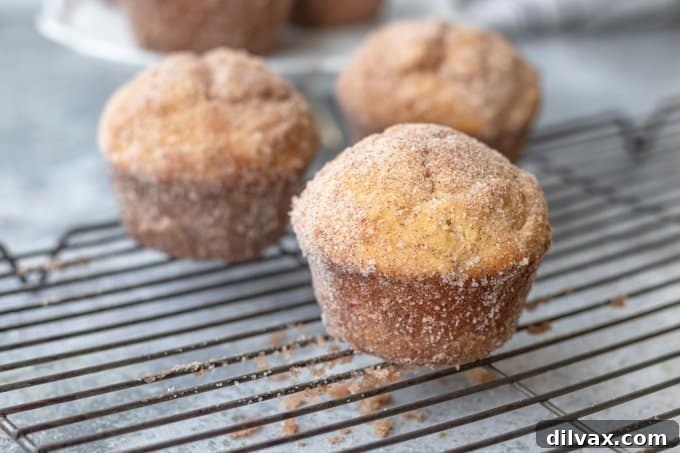 Sweet Morning Puff Delights 2 Cinnamon Sugar Muffins