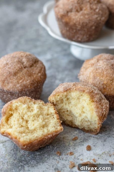 Sweet Morning Puff Delights 3 French Breakfast Puffs