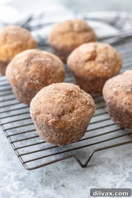 Sweet Morning Puff Delights 7 Muffins with a coating of butter and cinnamon sugar.