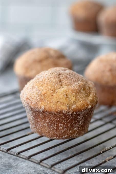 Sweet Morning Puff Delights 9 Cinnamon Sugar Muffins
