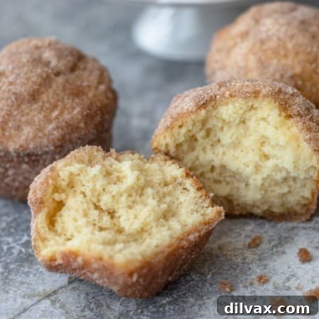 Sweet Morning Puff Delights 10 French Breakfast Puffs