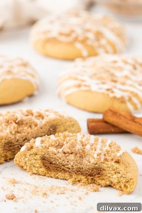 Cinnamon Streusel Cookies 12 The soft, moist interior of a Coffee Cake Cookie, revealing the cinnamon swirl.