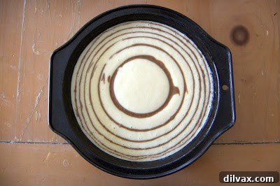 First pour of chocolate batter centered on the vanilla batter