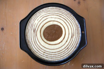 Alternating layers of vanilla and chocolate batter building up