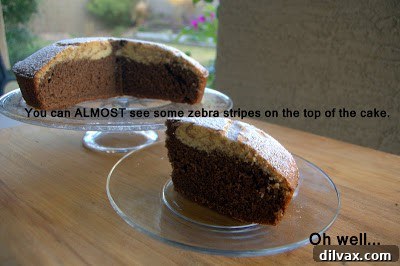 My attempt at a Zebra Cake, showing a muddy, undefined swirl