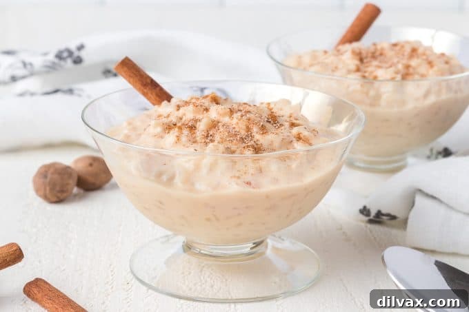 Silky Rice Pudding Perfection 2 Creamy Rice Pudding