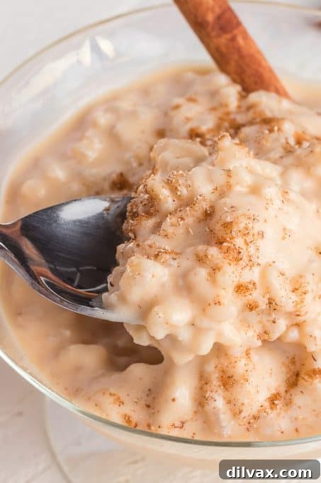 Silky Rice Pudding Perfection 11 A spoonful of creamy Rice Pudding.