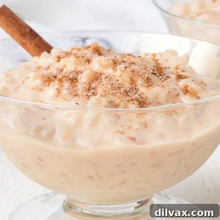 Creamy pudding made with rice and cinnamon.