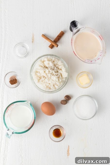 Silky Rice Pudding Perfection 4 Creamy Rice Pudding Ingredients