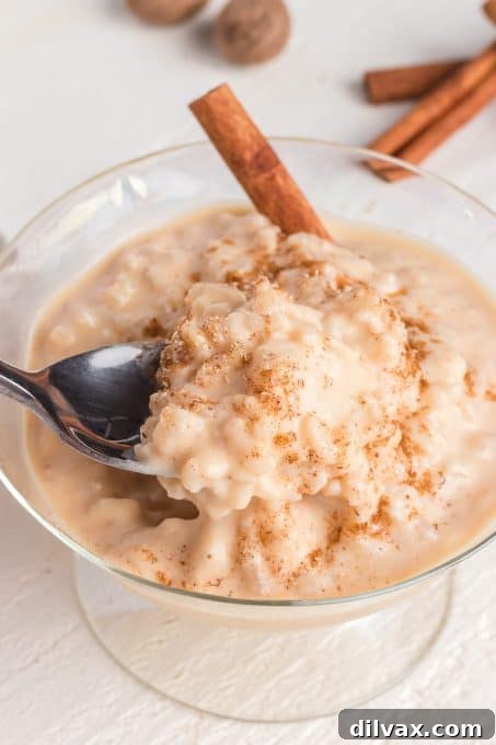 Silky Rice Pudding Perfection 8 A spoonful of creamy rice pudding.