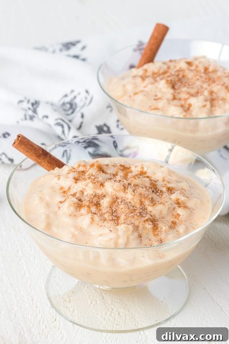 Silky Rice Pudding Perfection 10 Creamy Rice Pudding