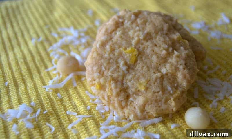 Tropical Cookies - a soft cookie made with crushed pineapple, coconut and macadamia nuts!