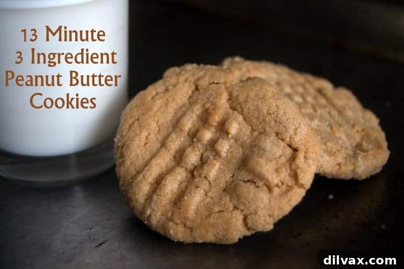 13 Minute, 3 Ingredient Peanut Butter Cookies - SO easy, SO fast and oh SO good!