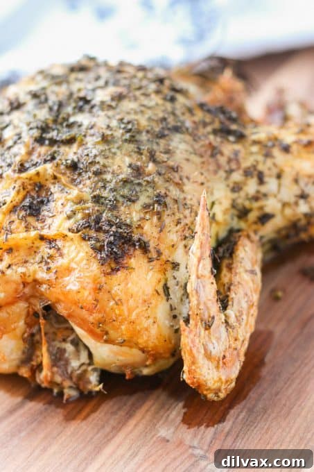 Roast chicken with herbs and lemon.
