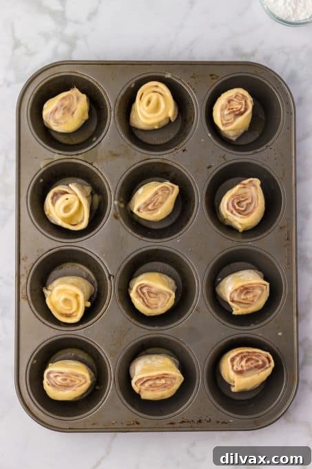 Decadent Nutella Cruffins 6 Puff Pastry Nutella Rolls ready to bake in a muffin tin.