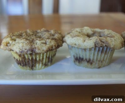 Freshly Baked Apple Cinnamon Crumb Muffins