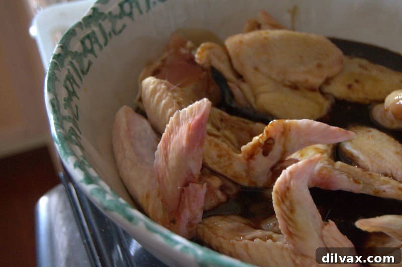 Baked Chinese Chicken Wings with a rich, dark glaze