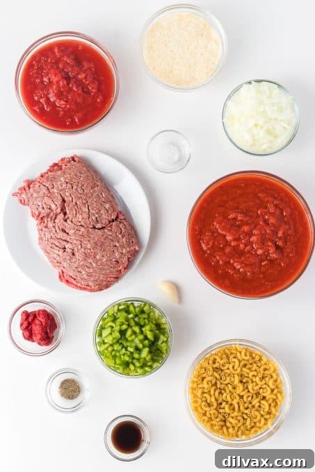 Ingredients for American Chop Suey.