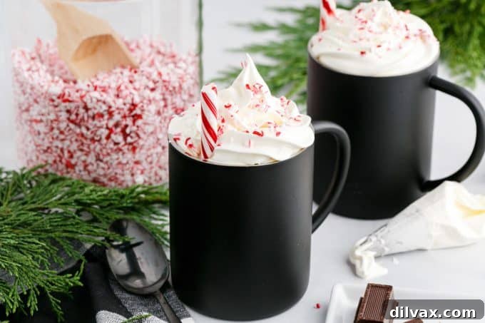 Crisp Mint Cocoa 2 Homemade Peppermint Mocha latte with whipped cream and chocolate drizzle
