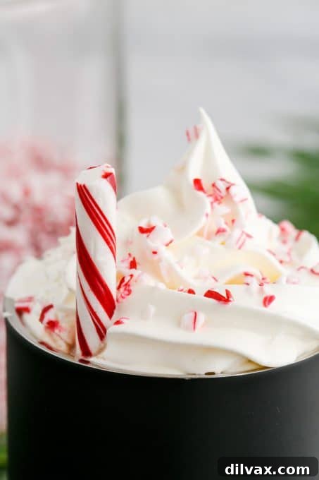 Crisp Mint Cocoa 8 Peppermint flavored mocha with whipped cream and a candy cane