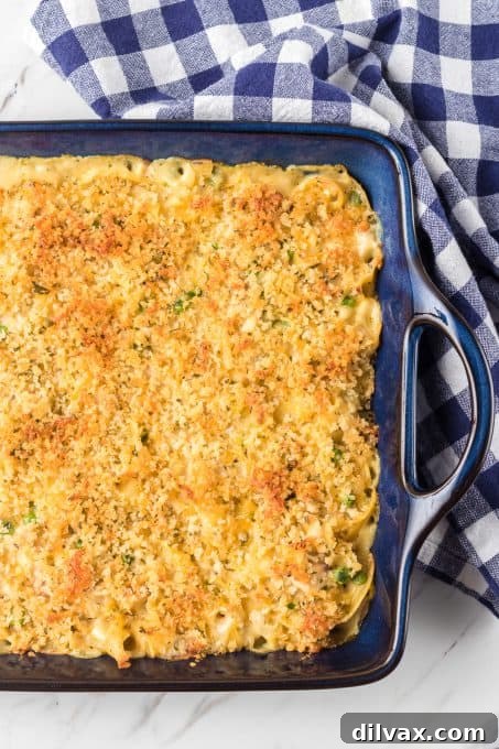 Comforting Turkey Noodle Bake 6 Baked Turkey Noodle Casserole, bubbly and golden, fresh from the oven