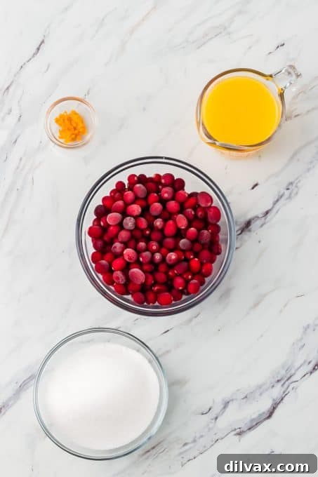 Ingredients for Homemade Cranberry Sauce.