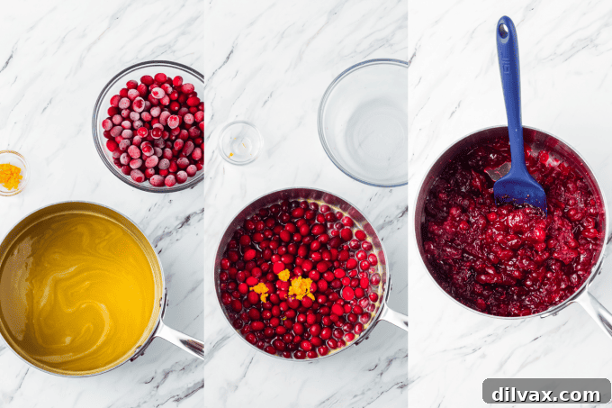 Process photos for Homemade Cranberry Sauce.