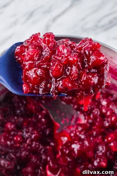 A spoonful of the best Thanksgiving side dish.