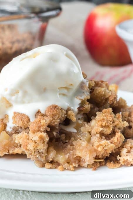 Warm Spiced Apple Crumble 10 A scoop of rich vanilla ice cream slowly melting over a warm, cinnamon-spiced apple crisp.
