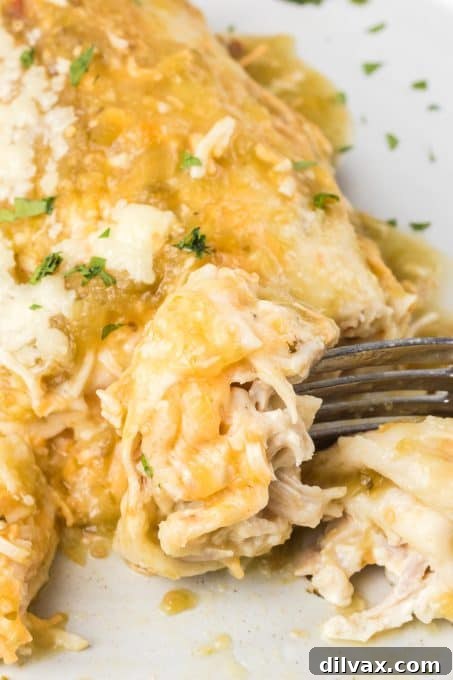 Decadent Creamy Chicken Enchiladas 3 A bite of a creamy chicken enchilada.