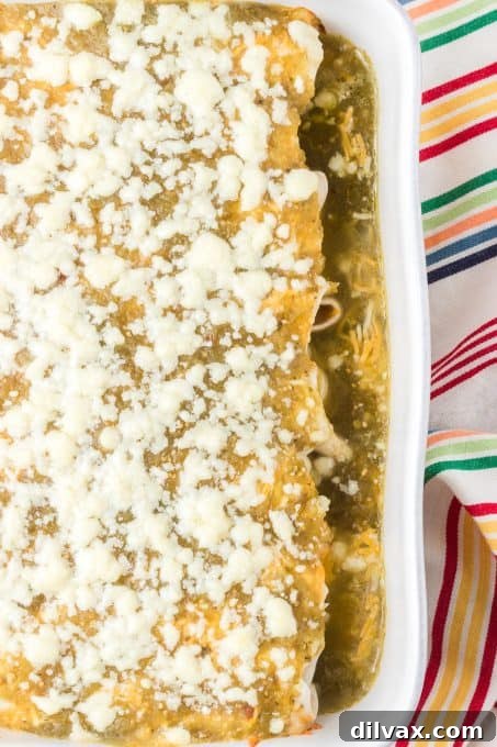 Decadent Creamy Chicken Enchiladas 8 A dish of baked enchiladas.