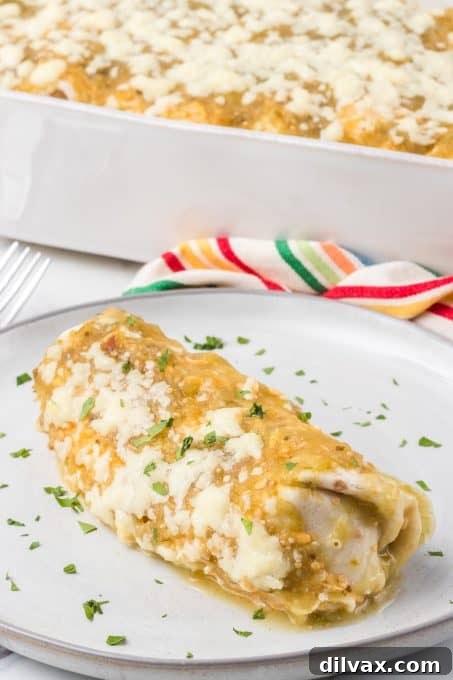Decadent Creamy Chicken Enchiladas 10 Cheese and chicken enchiladas.
