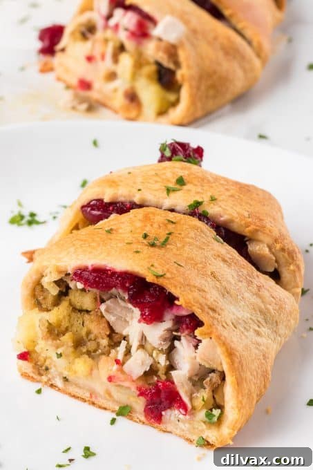 An easy weeknight dinner made with leftover turkey and crescent roll dough.