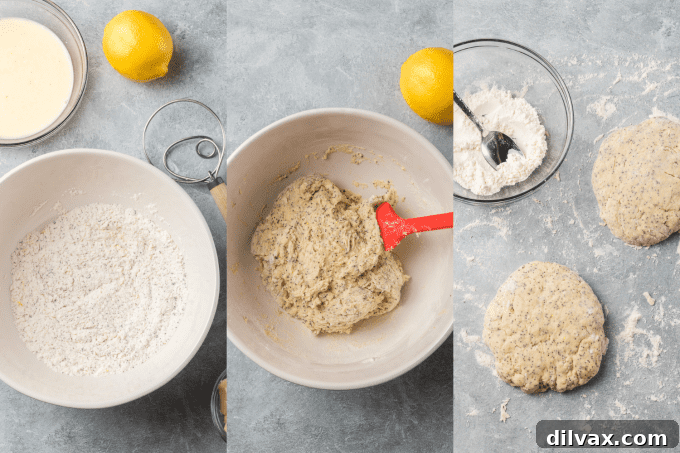 Process steps for scones with lemon and poppy seeds.