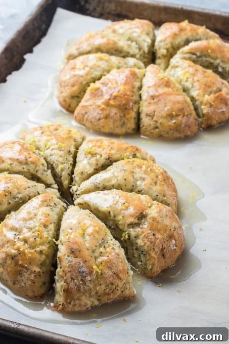 Poppy Seed Scones with a lemon glaze.