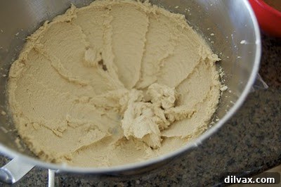 Baking Red Velvet Chocolate Chip Cookies on Day 298 4 img 337 3