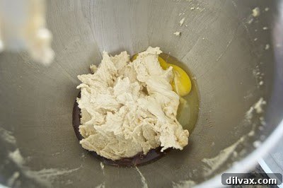 Baking Red Velvet Chocolate Chip Cookies on Day 298 5 img 337 4