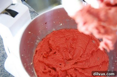 Baking Red Velvet Chocolate Chip Cookies on Day 298 6 img 337 5