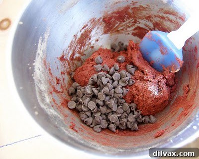 Baking Red Velvet Chocolate Chip Cookies on Day 298 7 img 337 6