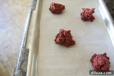 Baking Red Velvet Chocolate Chip Cookies on Day 298 8 img 337 7