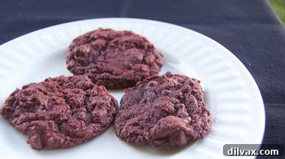 Baking Red Velvet Chocolate Chip Cookies on Day 298 9 img 337 8
