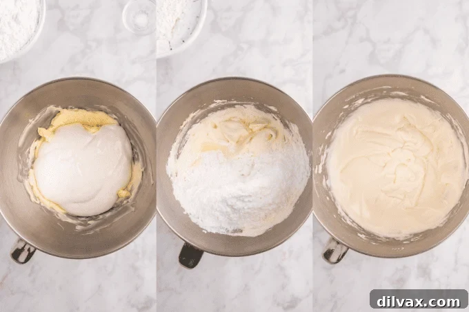A two-part image detailing the preparation of the hot cocoa cookie dough: mixing dry ingredients like flour and hot chocolate powder, then combining wet and dry ingredients and folding in mini chocolate chips to form the dough.