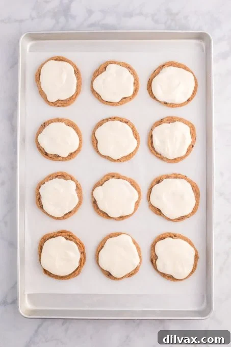 Cooled chocolate hot cocoa cookies, freshly baked and ready for icing, showing their flat surface, which is ideal for decorating into melted snowmen.