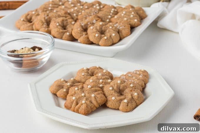 Chai Spice Spritz Cookies 2 Chai Spritz Cookies