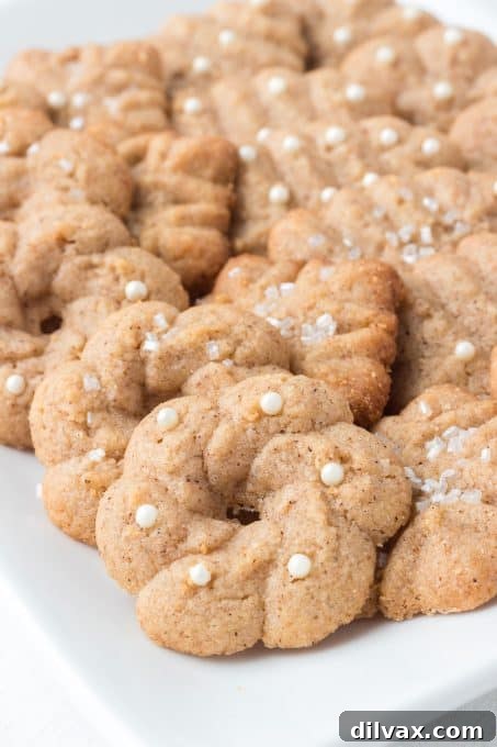 Chai Spice Spritz Cookies 3 Chai Spritz Cookies