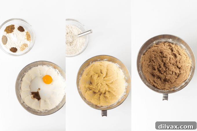 Chai Spice Spritz Cookies 5 Process photos for making Chai Spritz Cookies.