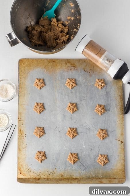 Chai Spice Spritz Cookies 6 Using a cookie press to make Spritz Cookies with Chai spices.