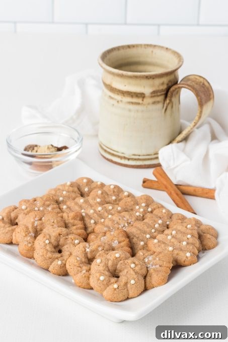Chai Spice Spritz Cookies 8 Cardamom, ginger, cinnamon and more are the spices used in these holiday Spritz Cookies.