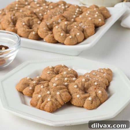 Chai Spritz Cookies