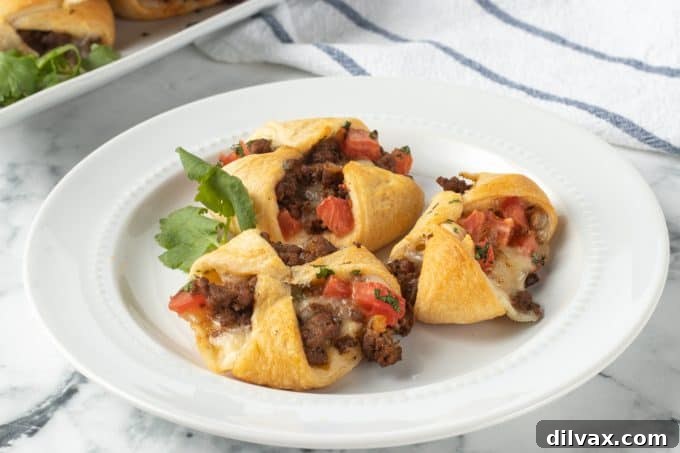 Fiesta Pockets 2 Taco seasoned meat with tomatoes and cheese in crescent dough.